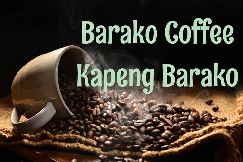 What is Barako Coffee or Kapeng Barako