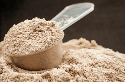 How to Make Protein Powder at Home