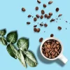 monsoon malabar specialty coffee beans for cafes