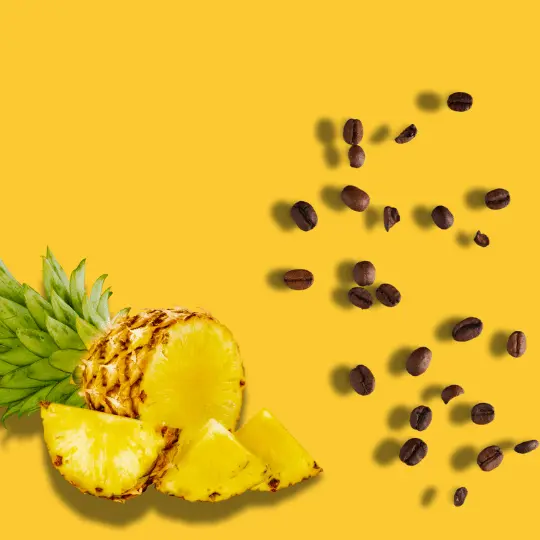 pineapple fermented specialty coffee for cafes